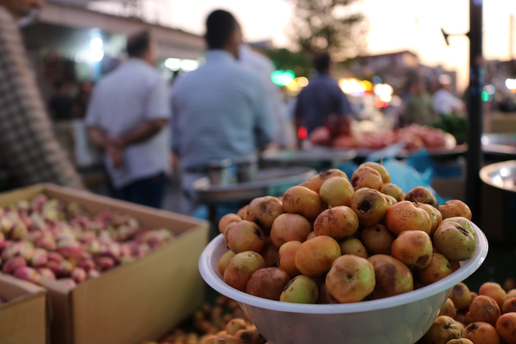 سوودەکانی گۆیژ